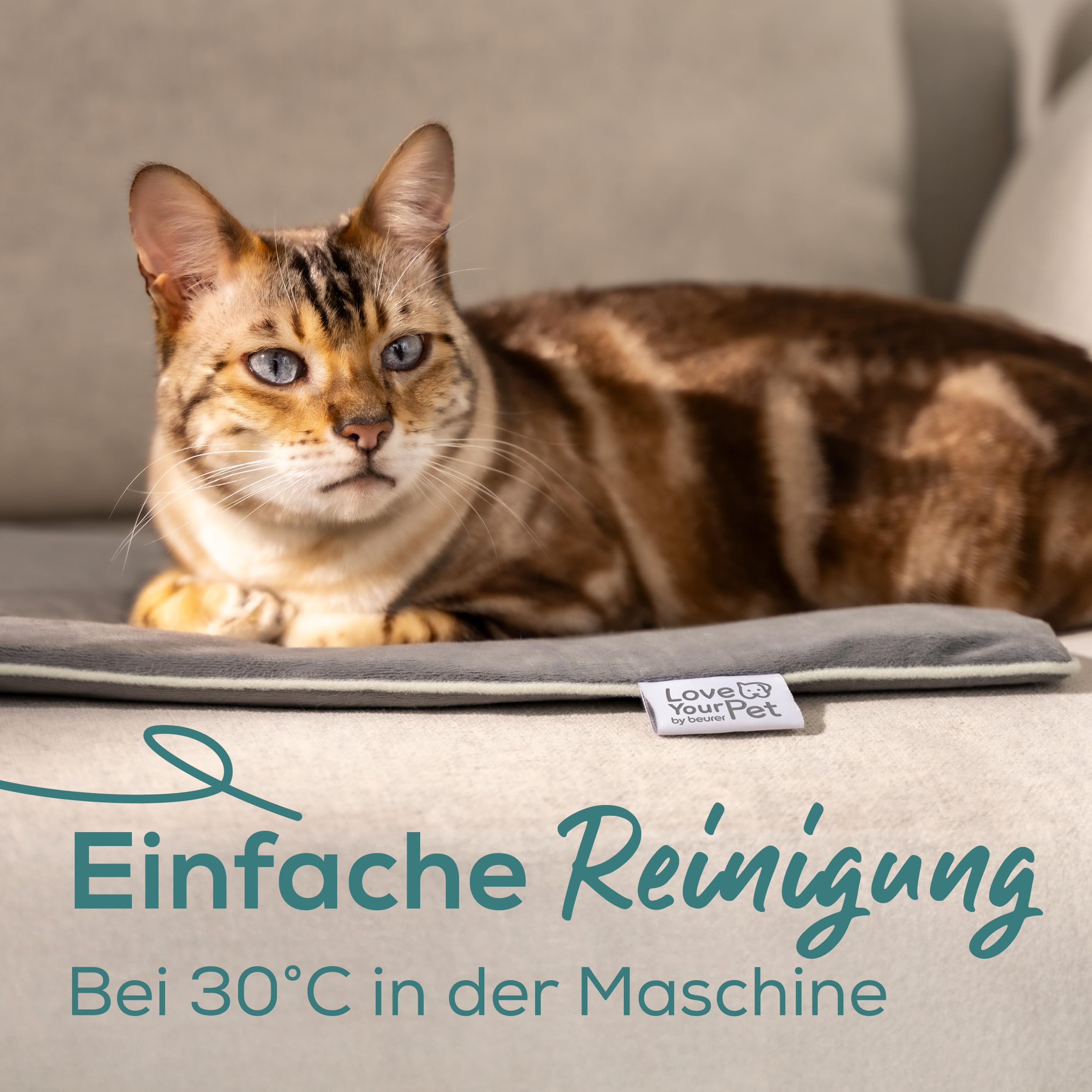 beurer-love-your-pet-heizmatte-l-sammy-elektrische-w-rmematte-f-r-hunde-und-katz image 3