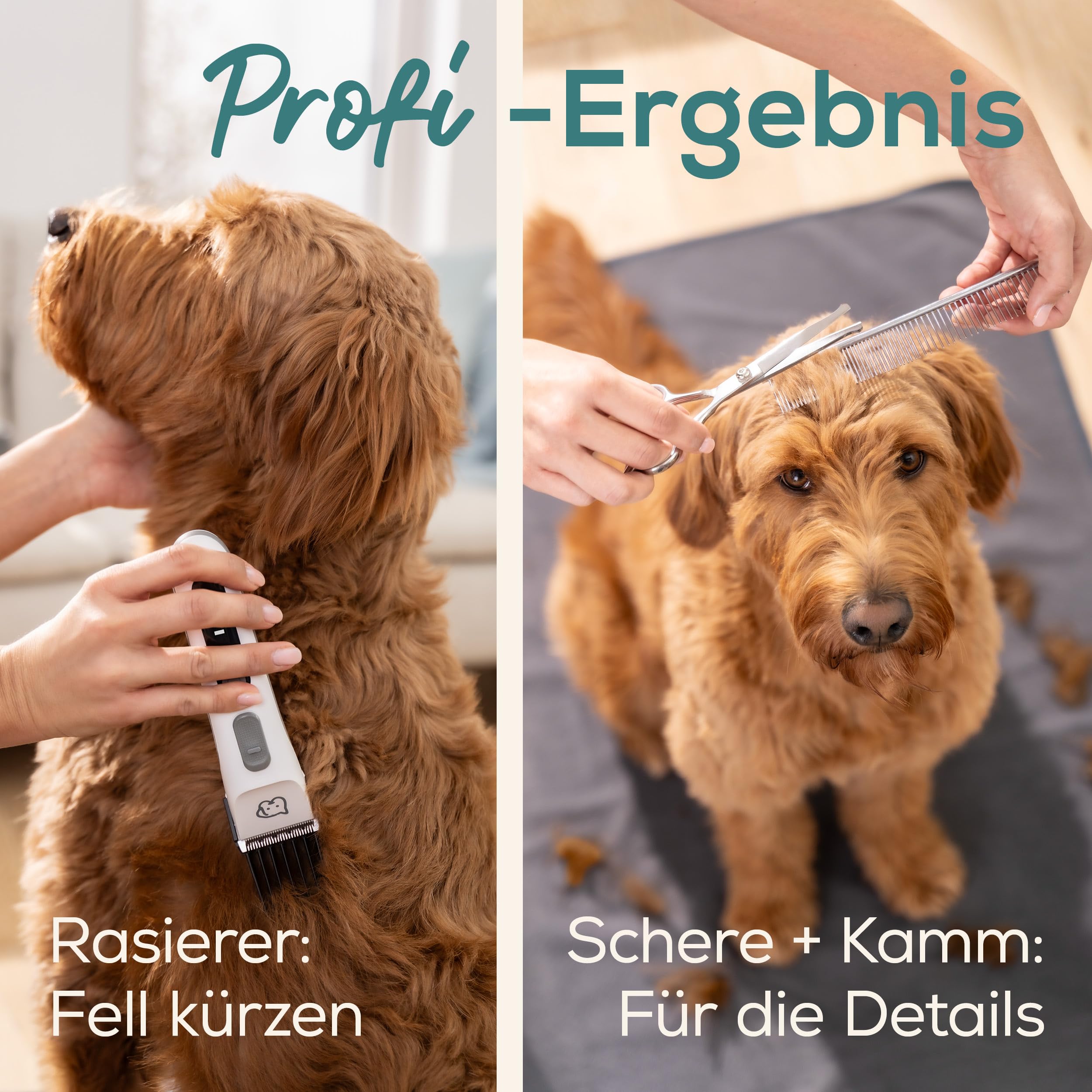 beurer-love-your-pet-schermaschine-fluffy-leise-trimmer-f-r-hunde-katzen-9-teili image 6