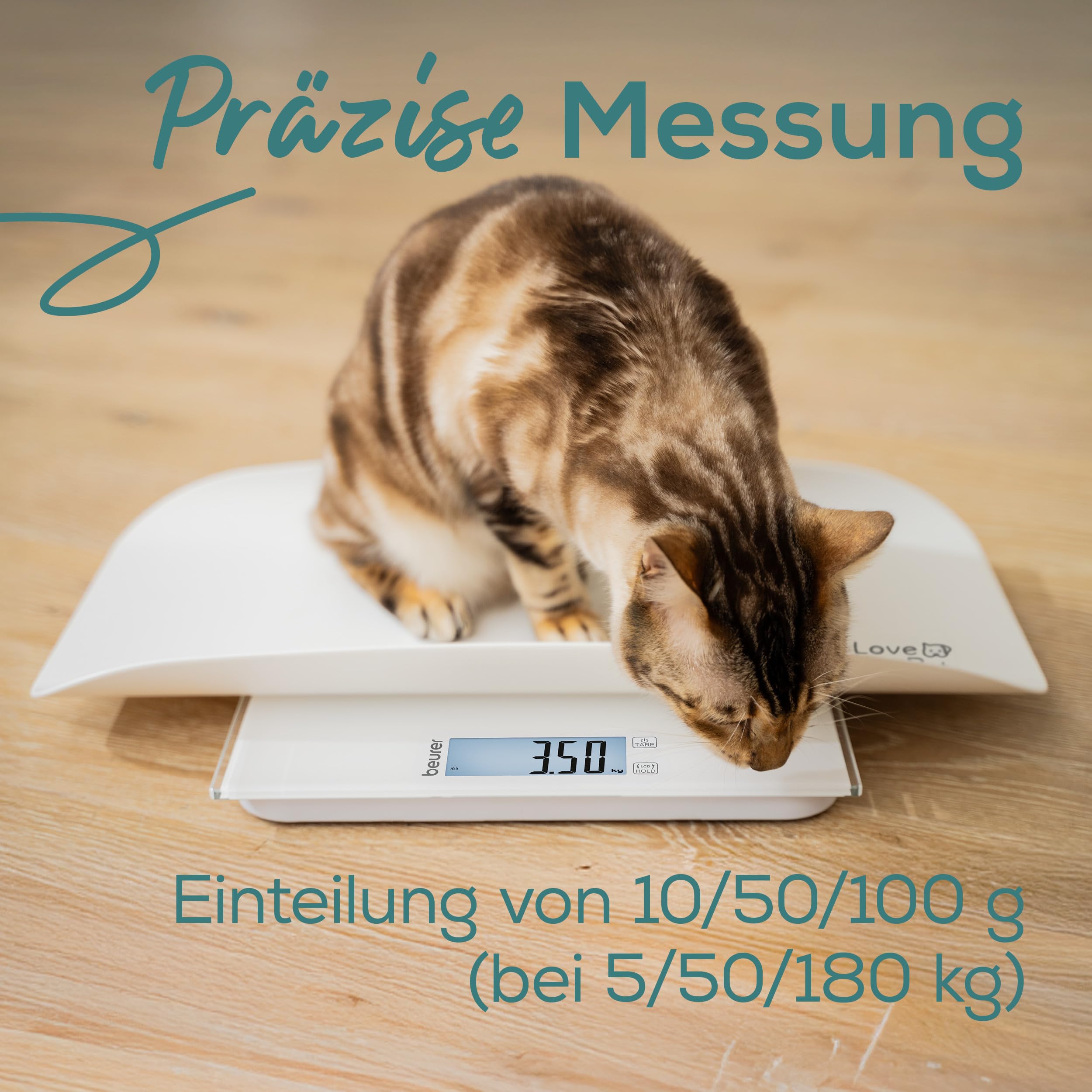beurer-love-your-pet-tierwaage-polly-personen-haustierwaage-100g-180kg image 4