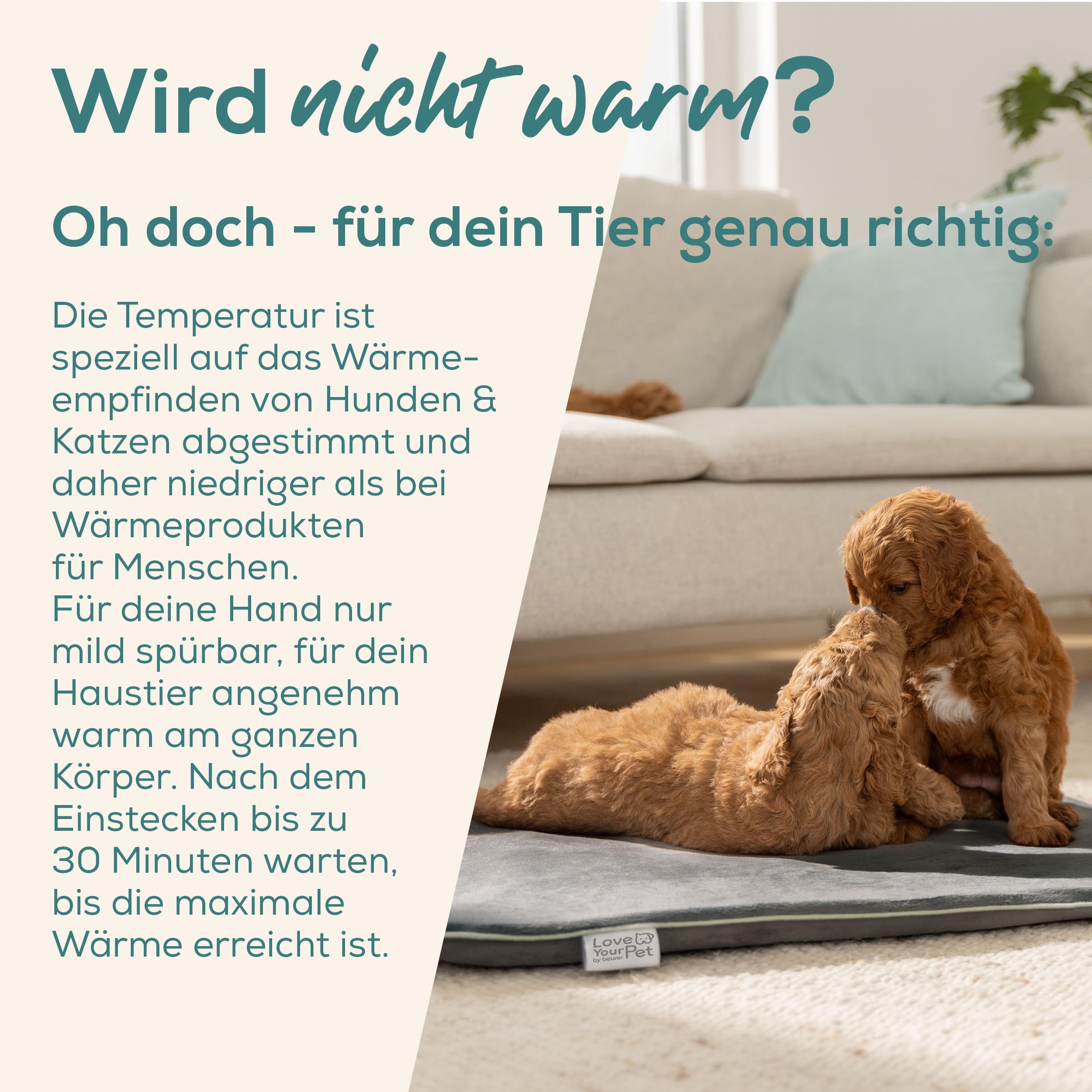 beurer-love-your-pet-heizmatte-l-sammy-elektrische-w-rmematte-f-r-hunde-und-katz image 2