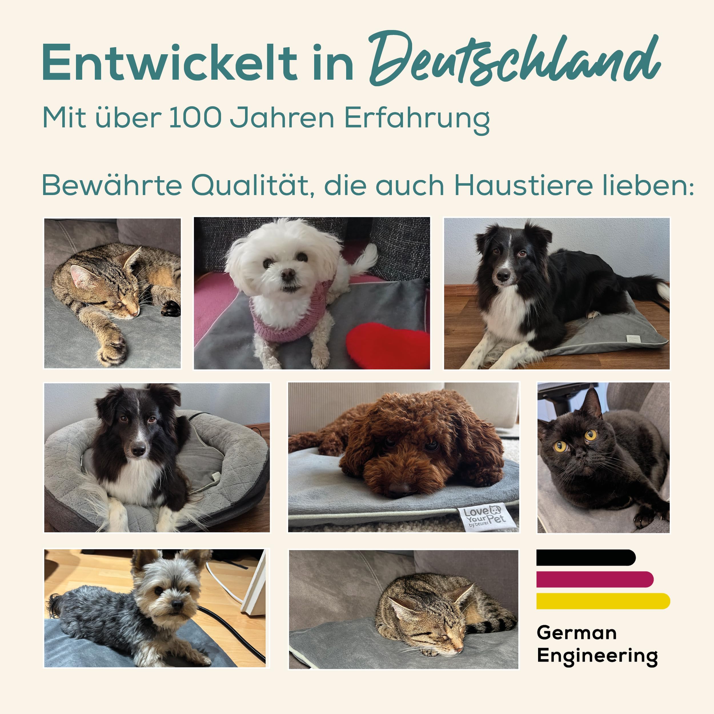 beurer-love-your-pet-heizmatte-l-sammy-elektrische-w-rmematte-f-r-hunde-und-katz image 4